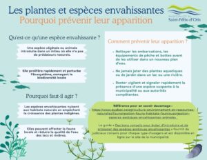 Les plantes et espèces envahissantes, pourquoi prévenir leur apparition